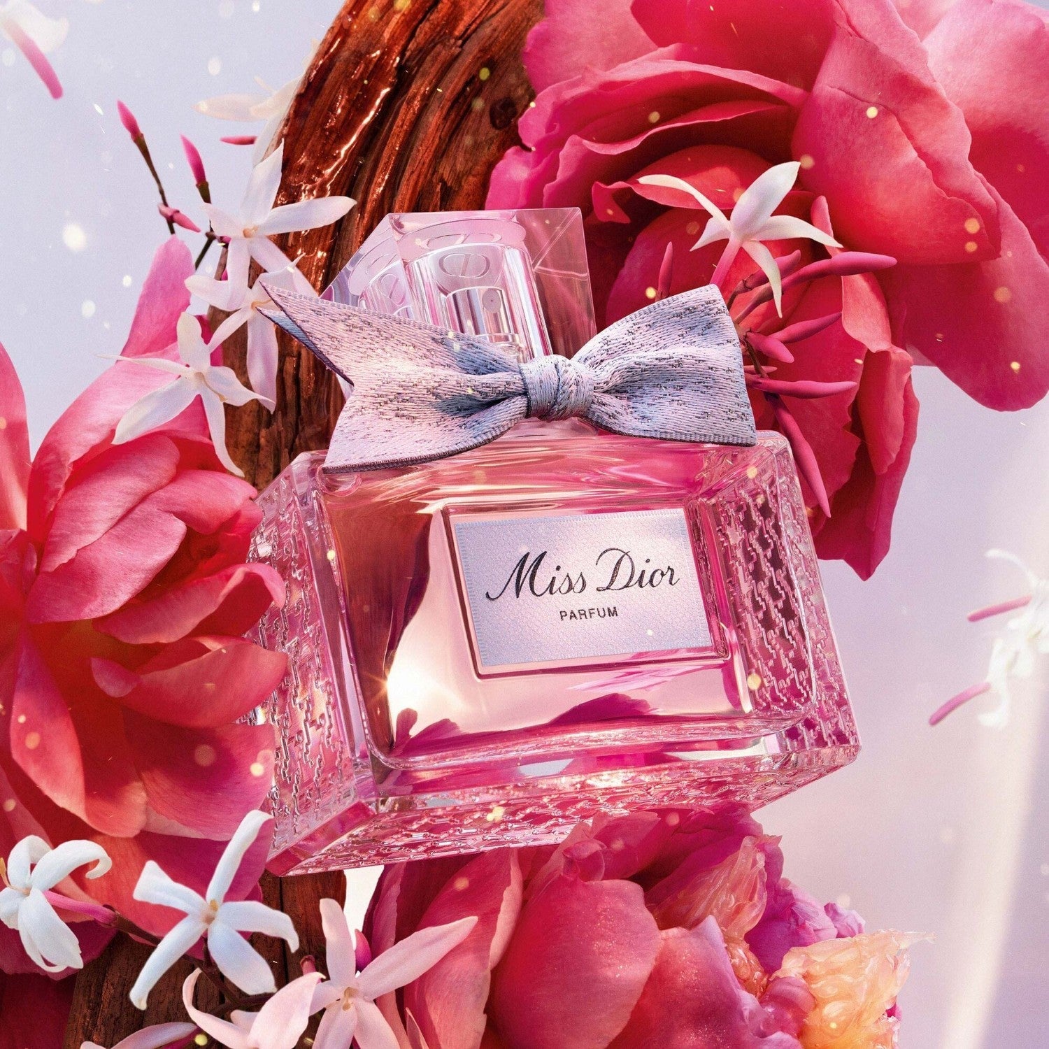 Perfumes de Mujer